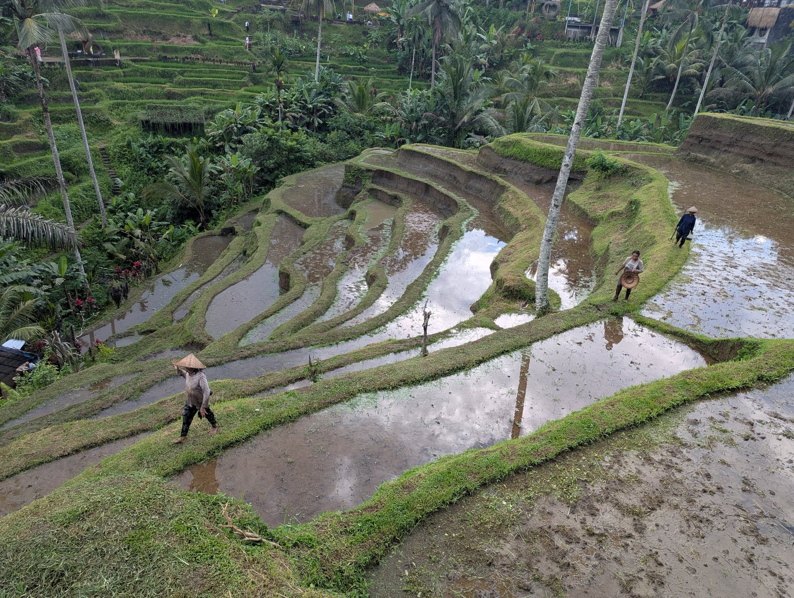 Rice terraces and holy springs