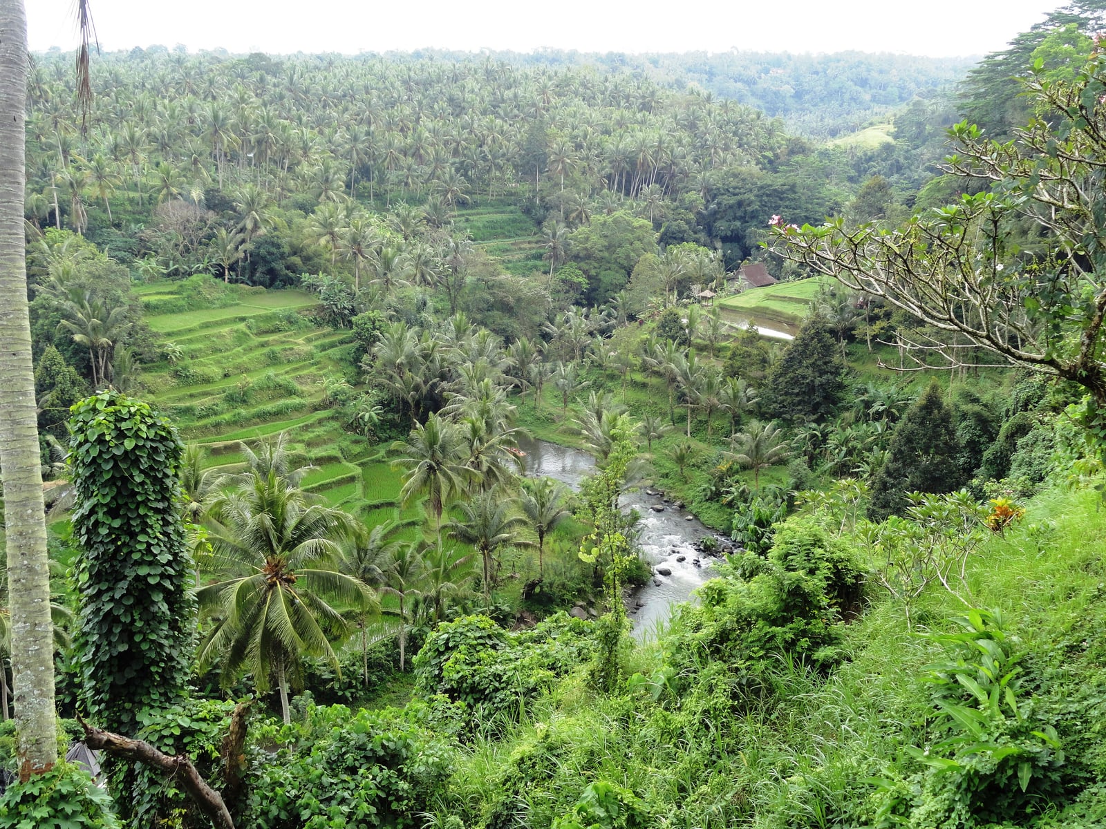 Four Seasons Resort Bali at Sayan — Sayan, Ubud · Ayung River valley