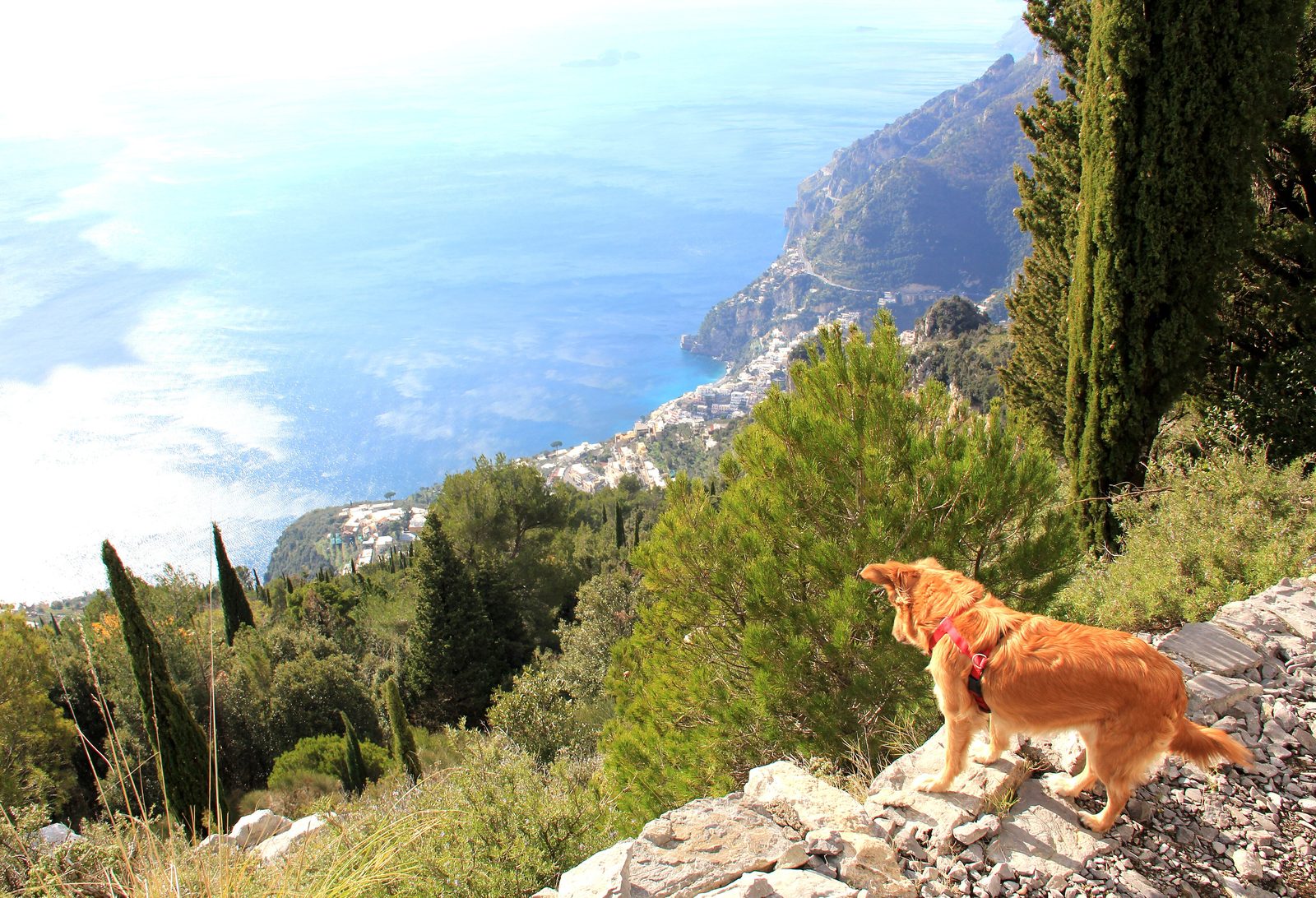 Greece + Amalfi (rev), day 8: Mamma Agata cooking class