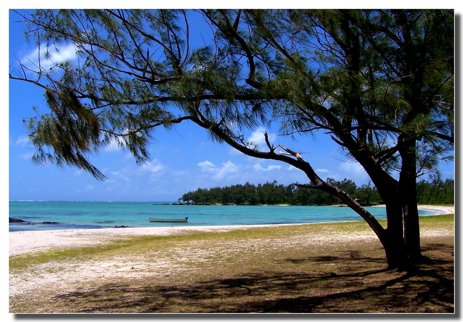 Île aux Cerfs by catamaran