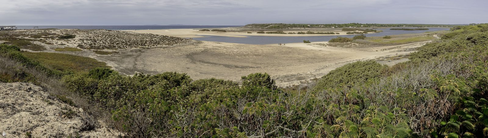 Portugal, day 6: Comporta · horseback beach