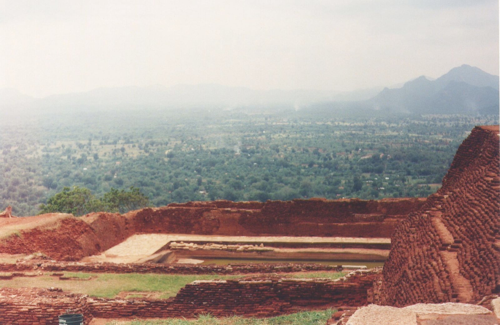 Dambulla caves & wild elephants