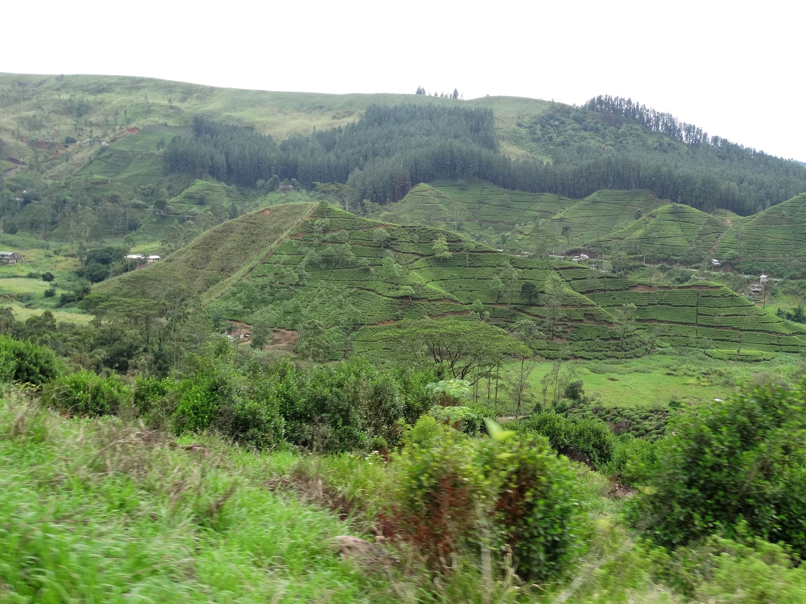 Little Adam's Peak & Nine Arch